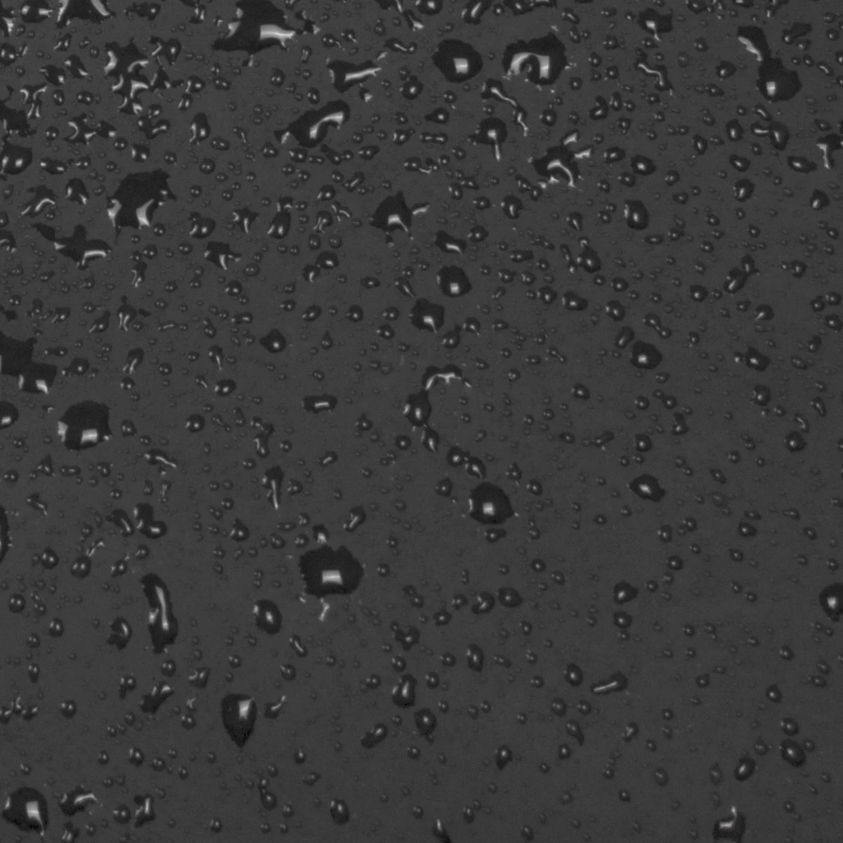 New Rebels Mart Waterafstotende Weekendtas - Zwart 7 New Rebels Mart Waterafstotende Weekendtas - Zwart - Afbeelding 7