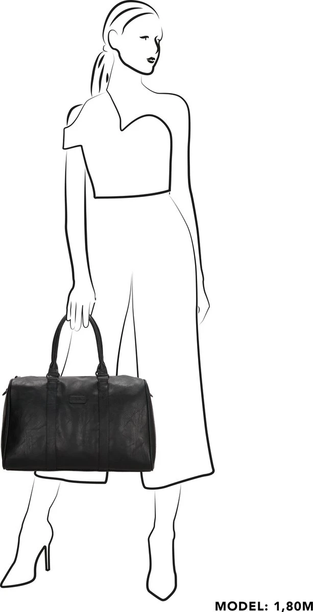 Beagles Murcia Reistas - Donkerbruin 5 Beagles Murcia Reistas - Donkerbruin - Afbeelding 5